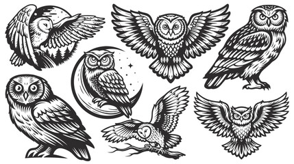 Obraz premium Set of owl clipart images featuring various poses, including owls perched on branches, in flight, and with outstretched wings, offering diverse design elements for creative projects