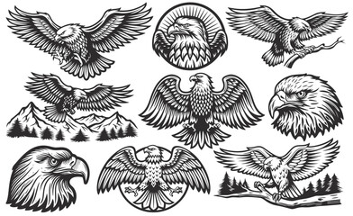 Vintage monochrome set of various eagles flying and perching on branch and mountain with forest in different situations like landing, hunting, and posing
