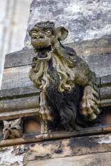 Gargoyle on the Cathedral of St. John the Baptist in Norwich, UK
