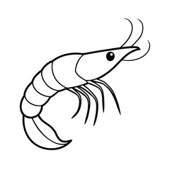 a hand drawn illustration of ashrimp