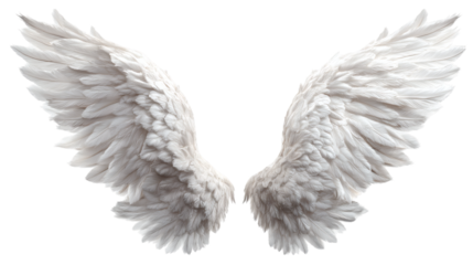 Realistic angel wings in white feathery form, fantasy concept, isolated on transparent 
