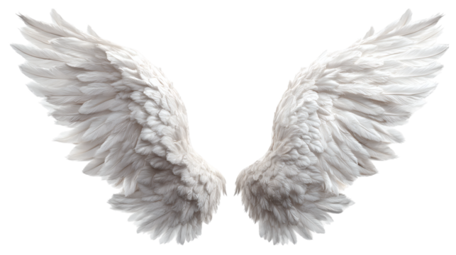 Realistic angel wings in white feathery form, fantasy concept, isolated on transparent 