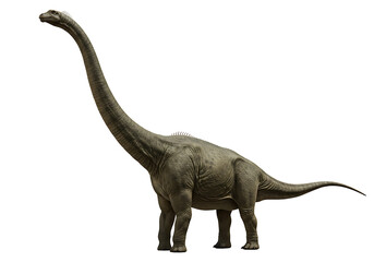Obraz premium A large sauropod dinosaur stands against a black background Its long neck reaches upward