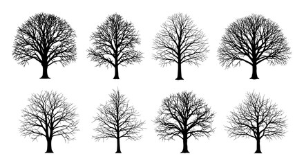A collection of eight bare tree silhouettes are displayed against a white background, each with unique branching patterns and shapes, perfect for design elements.