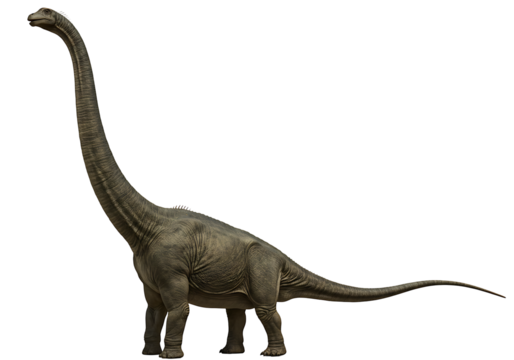 A longnecked dinosaur stands on a black background