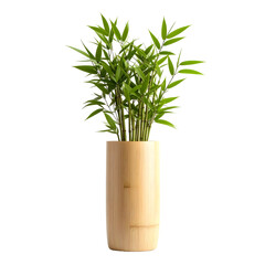 Lush Green Bamboo Plant Growing in a Natural Wooden Cylinder Vase