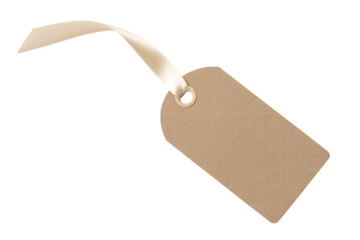 Blank kraft paper tag with satin ribbon