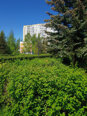 cityscape with lots of greenery in Zelenograd in Moscow, Russia