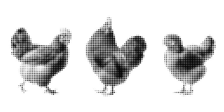 Chicken, halftone vector illustration rooster, chick, egg flying, standing, in retro comic book style with bold dotted texture. Black and white image isolated on white background. Stylized poultry.
