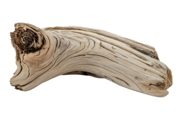 Weathered Driftwood Piece Close-Up Texture and Natural Wood Grain Details