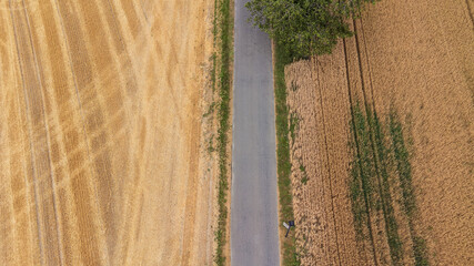 Aerial View of Rural Road Dividing Fields