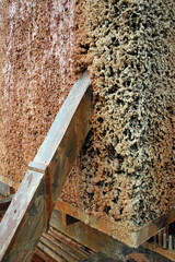 reisig im gradierwerk