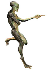 3D Rendering Green Alien on White