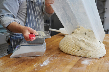 Close up of baker preparing to cut and weigh batch of dough to make individual loaves in bakery