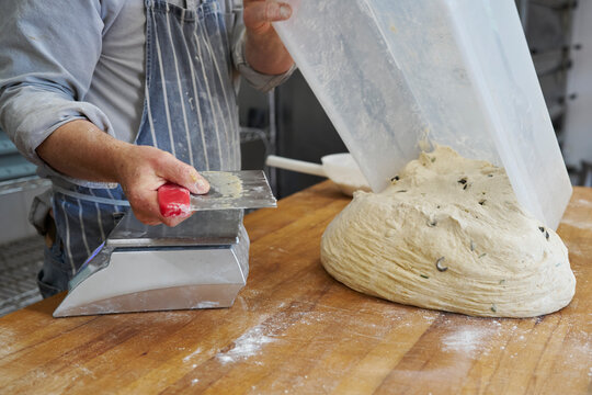 Close up of baker preparing to cut and weigh batch of dough to make individual loaves in bakery