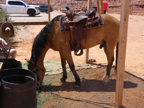 cheval