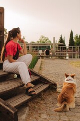 Close-up of a woman with Welsh Corgi in a park on a hot sunny day. Concept of pet care and...