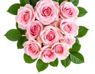 Naklejka premium Pink Roses with Lush Green Leaves Arranged Vertically Isolated on White and Transparent Background PNG