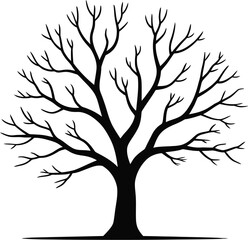 Bare tree silhouette branches black