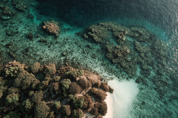 breathtaking aerial view of ocean surface showcases vibrant underwater ecosystems