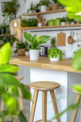 Indoor plant pots on wooden kitchen bar with stools, green foliage surrounding