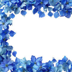 Blue flowers dark center on transparent Background