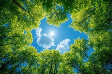 Sunlight shines through a circular opening in a dense green forest canopy against a bright blue sky with scattered clouds.