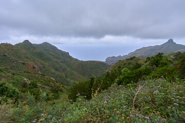 Fototapeta premium Coastal ridges and ocean view