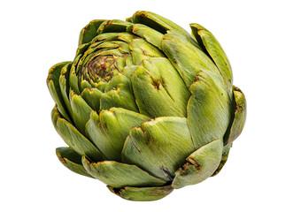 Obraz premium Single Artichoke Green