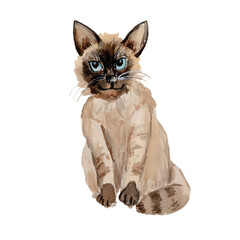 cute funny face watercolor cat 