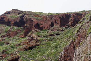 Volcanic cliff with caves and plants