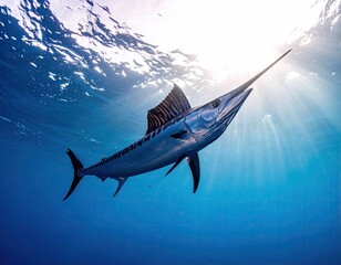 Naklejka premium Majestic marlin in sunlit ocean depths