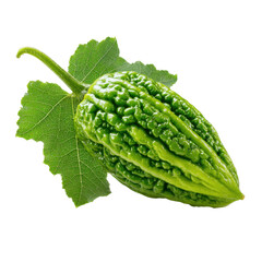 Bitter melon close view on transparent Background