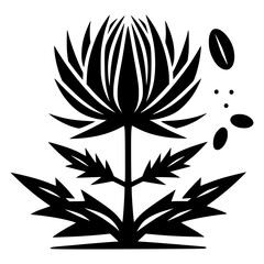 Minimalist black and white icon of Milk Thistle seed, simple medicinal plant vector illustration, isolated on transparent background