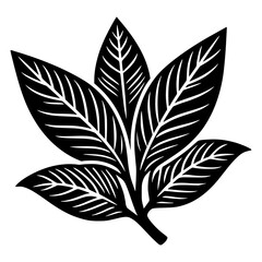 Minimal black and white icon of sage leaf, isolated medicinal herb illustration for herbal product packaging, organic labels, and botanical branding