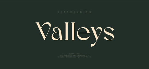 Valleys abstract Fashion font alphabet. Minimal modern urban fonts for logo, brand etc. Typography typeface uppercase lowercase and number vector illustration. 
