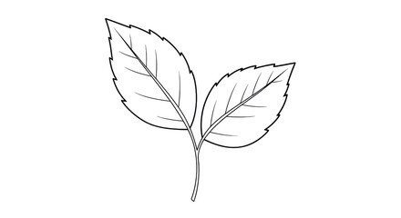 White Leaf Outline isolated on a transparent background