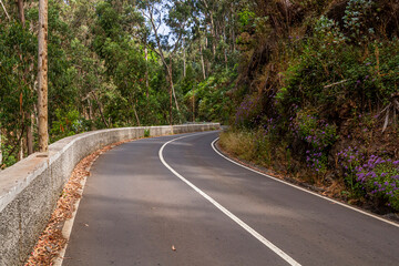 The curve on the old road in Laurisilva Forest on Madeira Island, Portugal | Zakręt na starej...