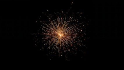 Obraz premium Golden Firework Explosion Burst on Black Background
