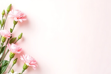 Elegant floral background featuring light pink carnations and green stems arranged diagonally 