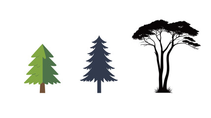 Fototapeta premium Tall Pine Tree Silhouette Vector Icon – Evergreen Conifer Tree Outline Illustration on White Background