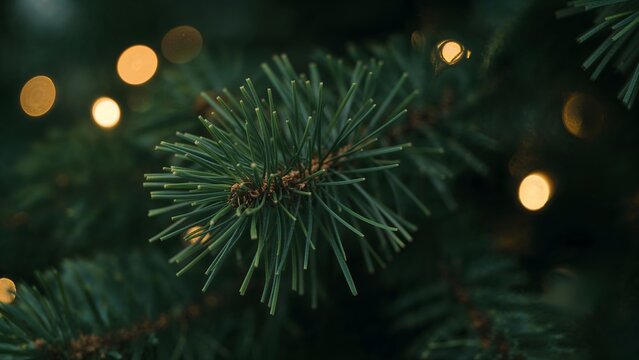 Close-Up of Artificial Pine Branch with Warm Fairy Light