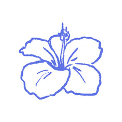 Hibiscus flower sketch. Hand drawn blue outline sticker with rough chalk effect. Minimal summer floral print for logos, spa labels, exotic cosmetics, tropical wedding stationery, botanical branding.