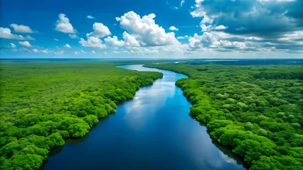 Fototapete Aerial view of a lush river winding through a vibrant green forest landscape © MAMUNURRASHID