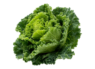 Whole Green Savoy