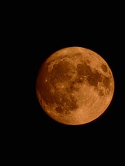 Fototapeta premium moon