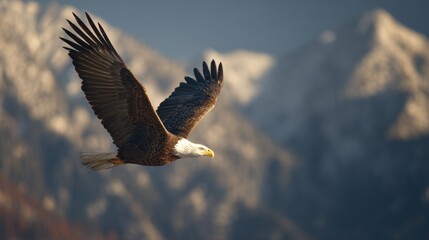 Obraz premium Majestic eagle soaring over mountains