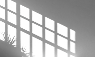 Window Shadow and Plants Clipart for Wall Insertion on Transparent PNG Background Botanical Silhouette Designnd.