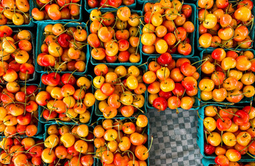 Freshly picked cherries displayed in baskets at a local farmers market in summer
