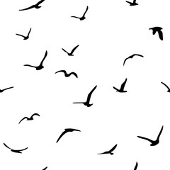 Flock of flying silhouette birds. Birds seamless pattern. White seagulls on a blue background. Vector